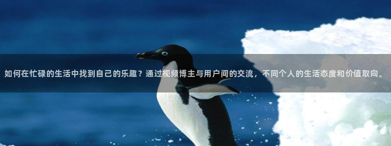 唐莫糖：如何在忙碌的生活中找到自己的乐趣？通过视频博主与用户